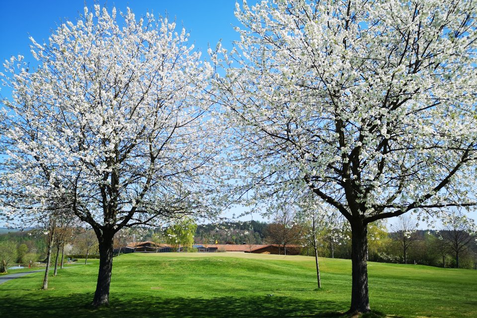 Kurhessischer Golfclub Bahn 7 im Frühling