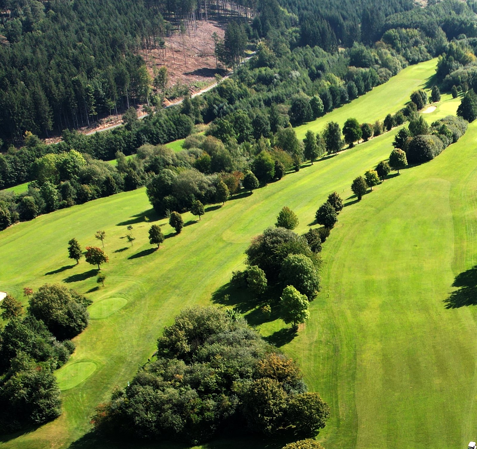 Kurhessischer Golfclub Bahn 4 (rechts Bahn 5, hinten Bahn 2)
